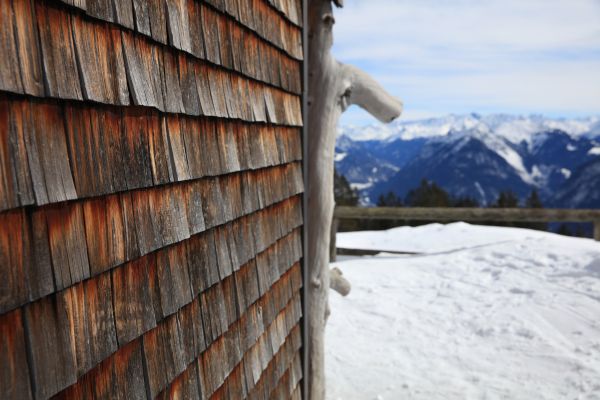 Cedar Siding Repair in Santa Rosa