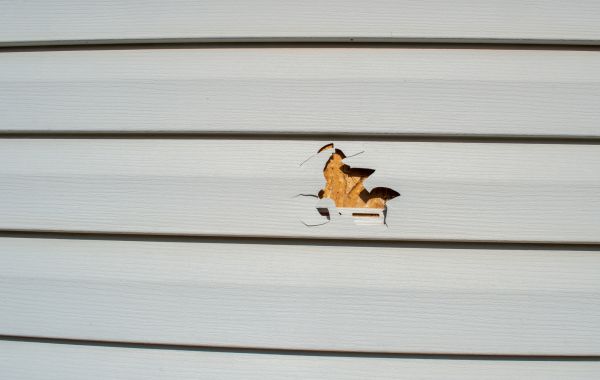 Siding Hole Patching in Santa Rosa