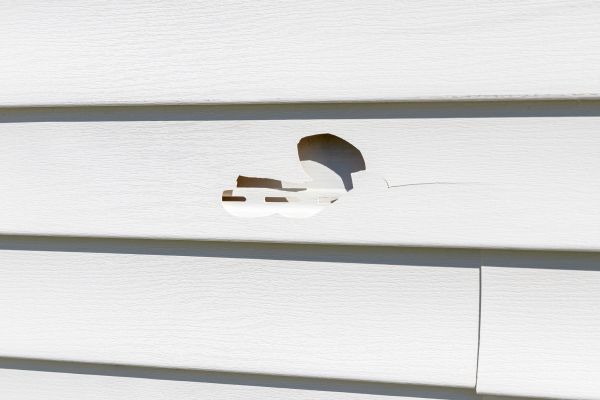 Cost of White Vinyl Siding Repair in Santa Rosa